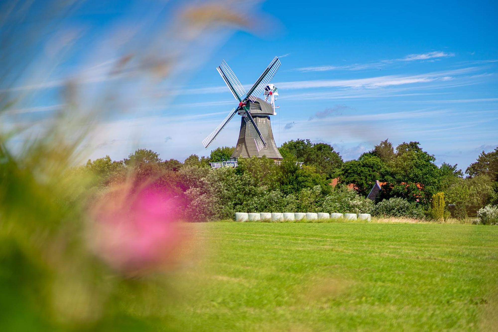 Deichblick Villa Greetsiel Exterior foto
